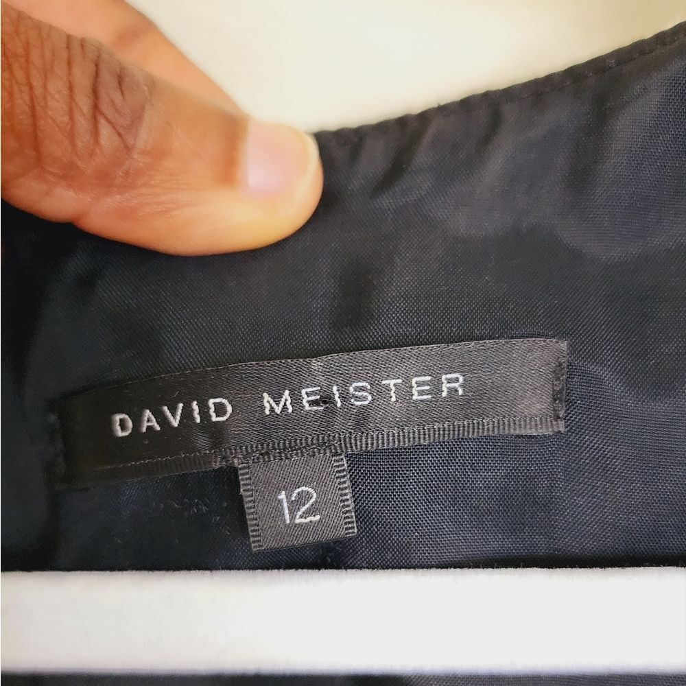 DAVID MEISTER DRESS - Picture 8 of 14